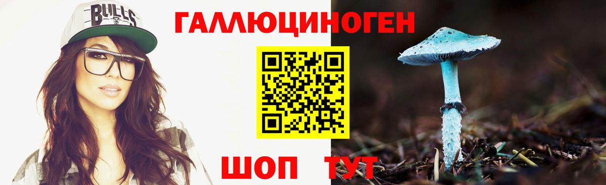Альметьевск  где можно купить   Галлюциногенные грибы GOLDEN TEACHER  Вход с VPN  Галлюциногенные грибы Psilocybine cubensis 