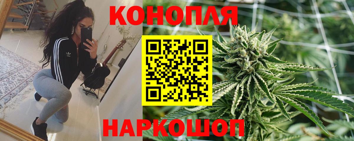 Шишки марихуана планчик  Канабис тримм  Каннабис сатива  Альметьевск  Вход с VPN 